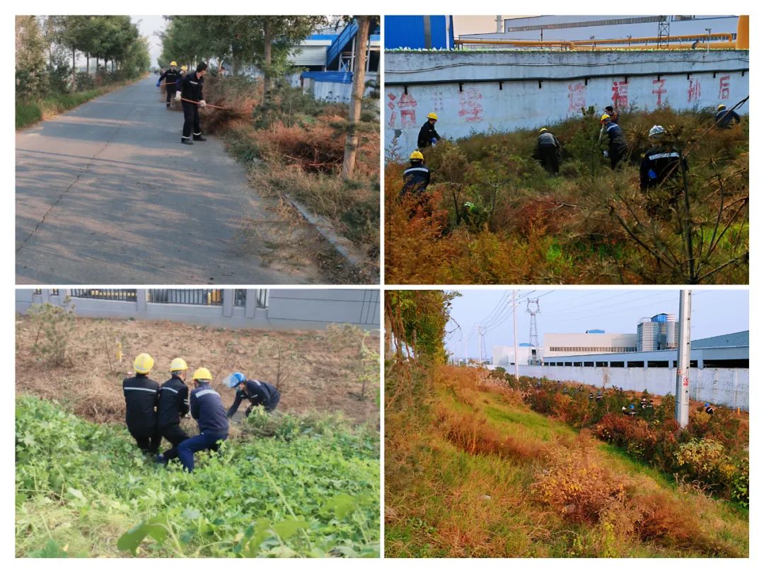 义务除草美化环境 消除隐患明泰先行